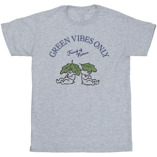Abbigliamento Bambino T-shirt maniche corte Disney Chip 'n Dale Green Vibes Only Grigio