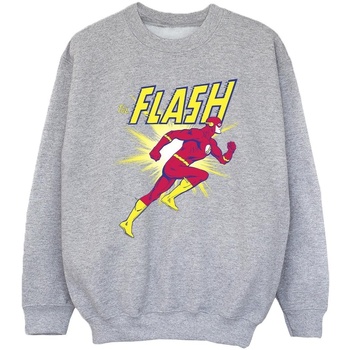 Abbigliamento Bambina Felpe Dc Comics The Flash Running Grigio