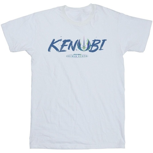 Abbigliamento Uomo T-shirts a maniche lunghe Star Wars: Obi-Wan Kenobi Painted Front Bianco