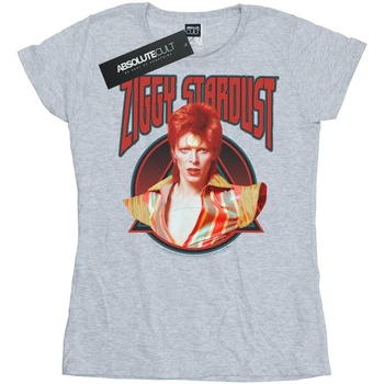 Abbigliamento Donna T-shirts a maniche lunghe David Bowie Ziggy Stardust Grigio