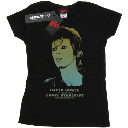 Abbigliamento Donna T-shirts a maniche lunghe David Bowie Ziggy Gradient Nero