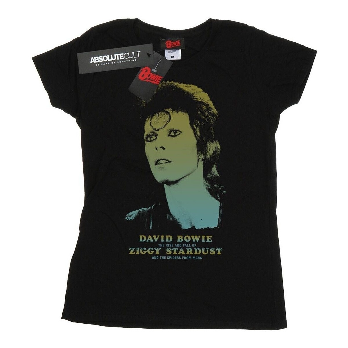 Abbigliamento Donna T-shirts a maniche lunghe David Bowie Ziggy Gradient Nero