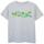 Abbigliamento Bambino T-shirt maniche corte Disney Encanto Wild Logo Grigio