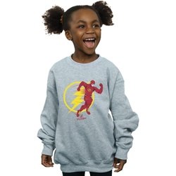 Abbigliamento Bambina Felpe Dc Comics The Flash Running Emblem Grigio