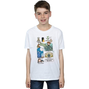 Abbigliamento Bambino T-shirt maniche corte Fantastic Beasts Chibi Newt Bianco