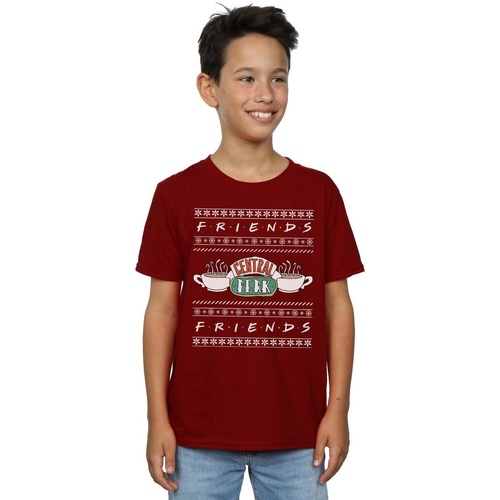 Abbigliamento Bambino T-shirt maniche corte Friends Fair Isle Central Perk Multicolore