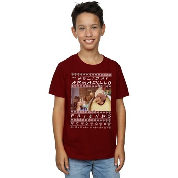 Abbigliamento Bambino T-shirt maniche corte Friends Fair Isle Holiday Armadillo Multicolore
