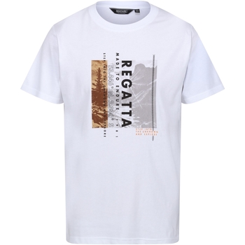 Abbigliamento Uomo T-shirts a maniche lunghe Regatta Cline VII Bianco