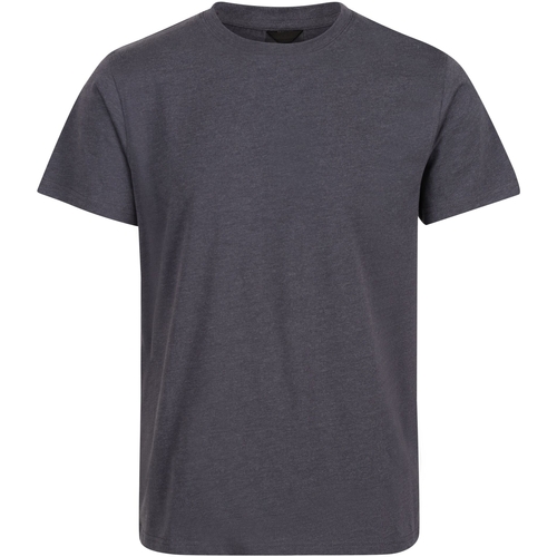 Abbigliamento Uomo T-shirts a maniche lunghe Regatta Pro Grigio
