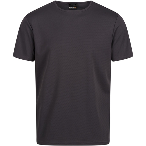 Abbigliamento Uomo T-shirts a maniche lunghe Regatta Pro Grigio