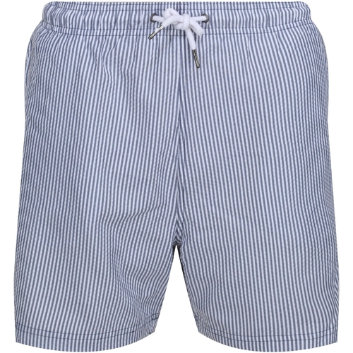 Abbigliamento Uomo Shorts / Bermuda Regatta Loras Multicolore