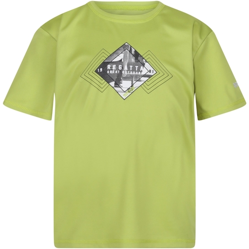 Abbigliamento Unisex bambino T-shirt maniche corte Regatta Alvarado VII Verde