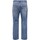 Abbigliamento Uomo Jeans dritti Only & Sons  22026781 Multicolore