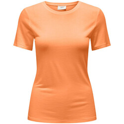 Abbigliamento Donna T-shirt & Polo JDY 15316847 Arancio