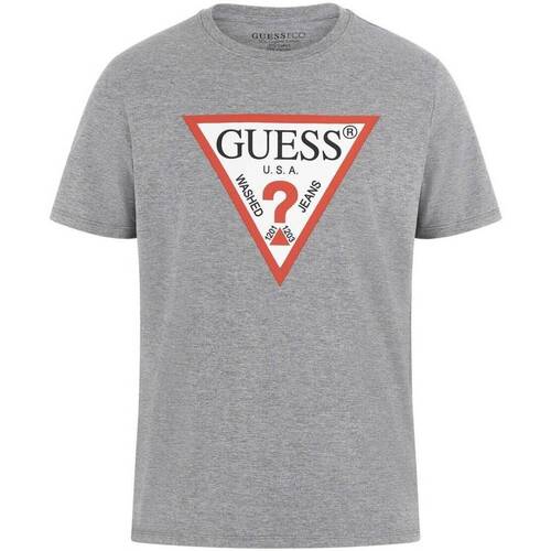 Abbigliamento Uomo T-shirt & Polo Guess T-SHIRT ES24GU23 Grigio