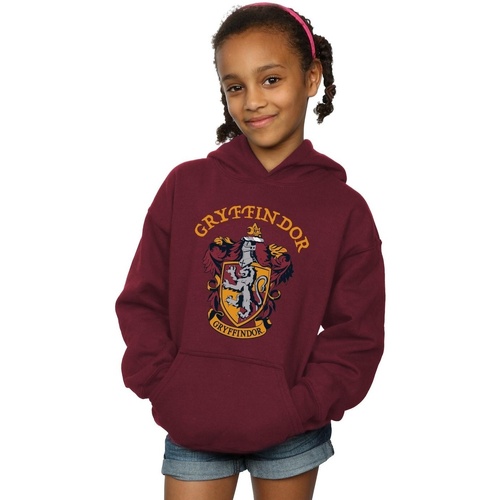 Abbigliamento Bambina Felpe Harry Potter Gryffindor Crest Multicolore