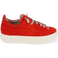 Scarpe Donna Sneakers basse Paul Green Sneakers Rosso