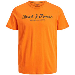 Abbigliamento Bambino T-shirt & Polo Jack & Jones 12216498 Arancio
