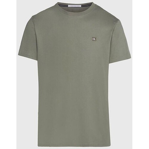 Abbigliamento Uomo T-shirt maniche corte Calvin Klein Jeans J30J325268LDY Verde