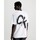 Abbigliamento Uomo T-shirt maniche corte Calvin Klein Jeans J30J324652YAF Bianco
