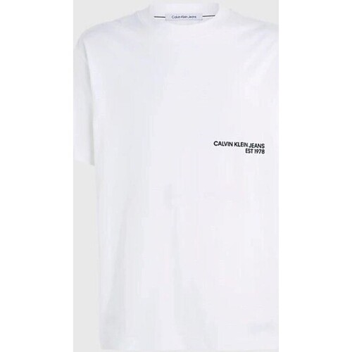 Abbigliamento Uomo T-shirt maniche corte Calvin Klein Jeans J30J324652YAF Bianco
