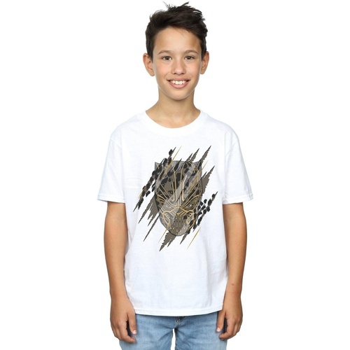 Abbigliamento Bambino T-shirt maniche corte Marvel Black Panther Gold Head Bianco