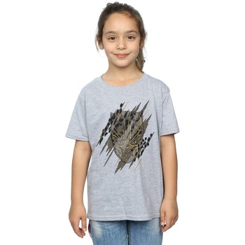 Abbigliamento Bambina T-shirts a maniche lunghe Marvel Black Panther Gold Head Grigio