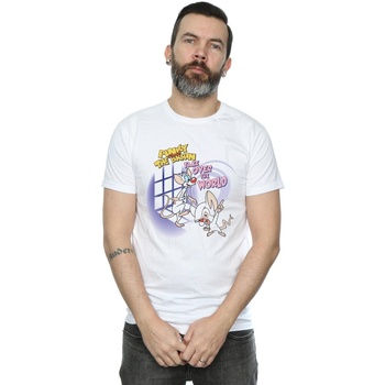 Abbigliamento Uomo T-shirts a maniche lunghe Animaniacs Pinky And The Brain Take Over The World Bianco