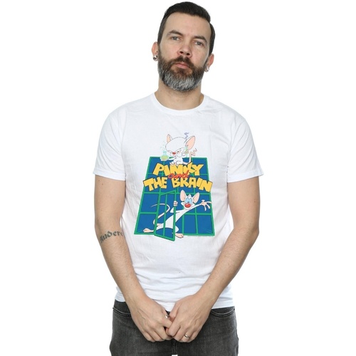 Abbigliamento Uomo T-shirts a maniche lunghe Animaniacs Pinky And The Brain Laboratory Bianco