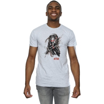 Abbigliamento Uomo T-shirts a maniche lunghe Marvel Ant-Man Running Grigio