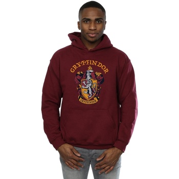 Abbigliamento Uomo Felpe Harry Potter Gryffindor Crest Multicolore