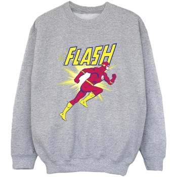 Abbigliamento Bambino Felpe Dc Comics The Flash Running Grigio