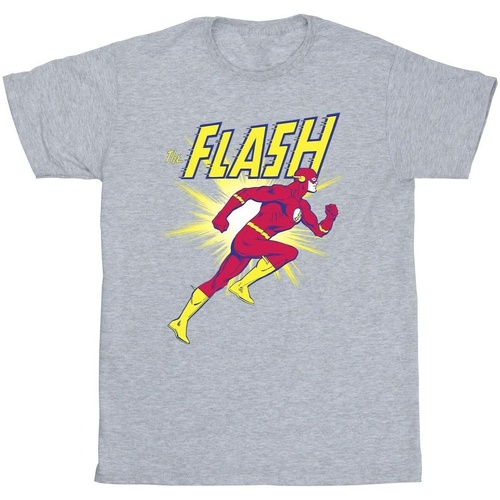 Abbigliamento Bambino T-shirt maniche corte Dc Comics The Flash Running Grigio