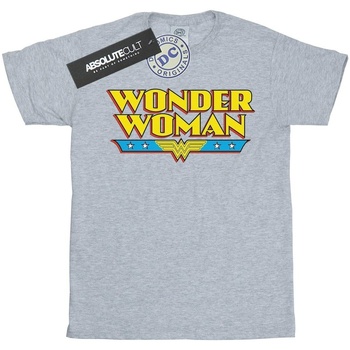Abbigliamento Bambina T-shirts a maniche lunghe Dc Comics Wonder Woman Text Logo Grigio
