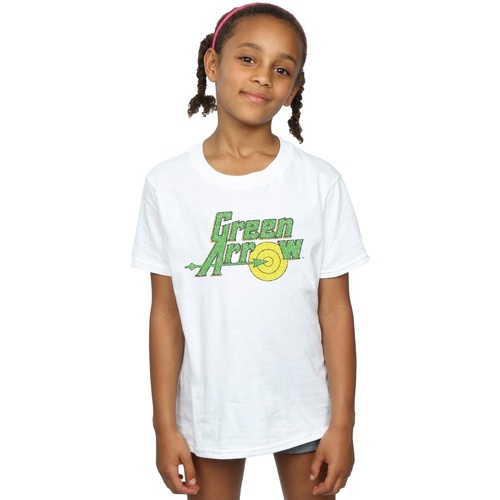 Abbigliamento Bambina T-shirts a maniche lunghe Dc Comics Green Arrow Crackle Logo Bianco