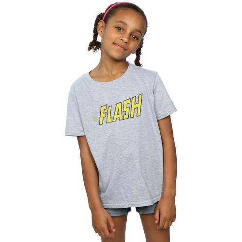 Abbigliamento Bambina T-shirts a maniche lunghe Dc Comics Flash Crackle Logo Grigio