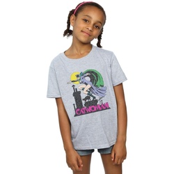 Abbigliamento Bambina T-shirts a maniche lunghe Dc Comics Catwoman Crackle Logo Grigio