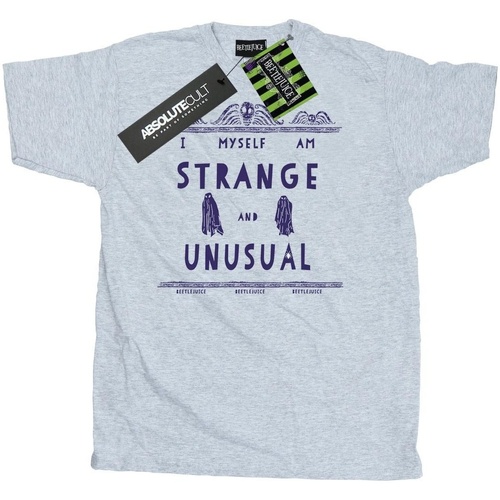 Abbigliamento Uomo T-shirts a maniche lunghe Beetlejuice Strange And Unusual Grigio