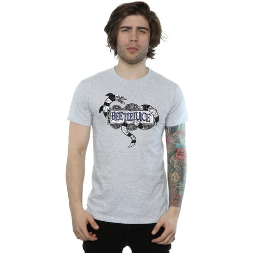 Abbigliamento Uomo T-shirts a maniche lunghe Beetlejuice Sandworm Logo Grigio