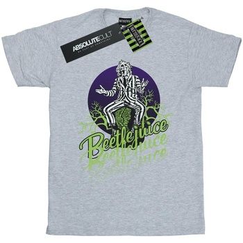 Abbigliamento Uomo T-shirts a maniche lunghe Beetlejuice  Grigio