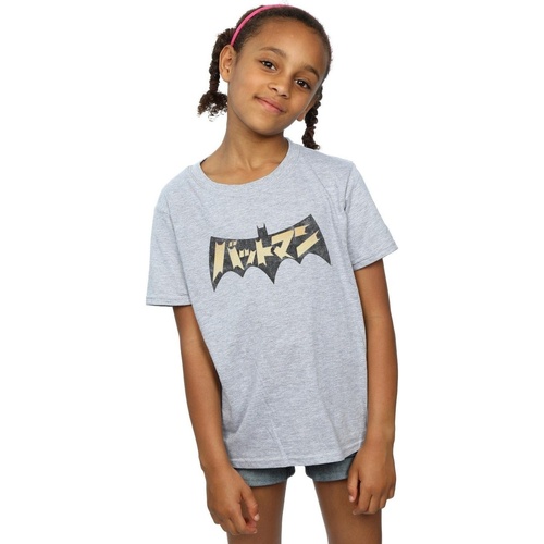 Abbigliamento Bambina T-shirts a maniche lunghe Dc Comics Batman International Logo Grigio