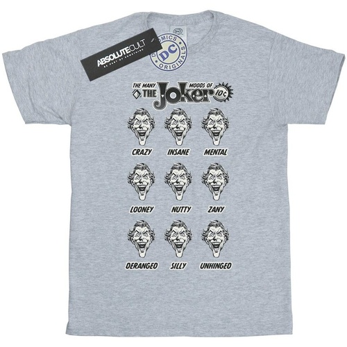 Abbigliamento Bambina T-shirts a maniche lunghe Dc Comics The Joker The Many Moods Of The Joker Grigio