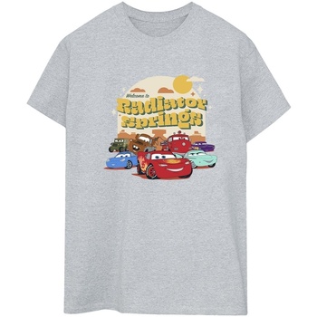 Abbigliamento Donna T-shirts a maniche lunghe Disney Cars Radiator Springs Group Grigio