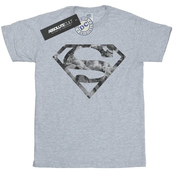 Abbigliamento Bambina T-shirts a maniche lunghe Dc Comics Superman Marble Logo Grigio