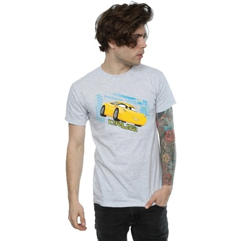 Abbigliamento Uomo T-shirts a maniche lunghe Disney Cars Cruz Ramirez Grigio