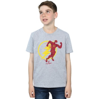 Abbigliamento Bambino T-shirt maniche corte Dc Comics The Flash Running Emblem Grigio