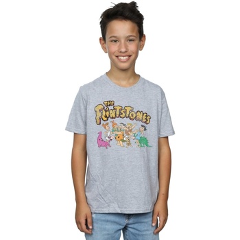 Abbigliamento Bambino T-shirt maniche corte The Flintstones Group Distressed Grigio