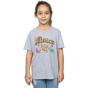 Abbigliamento Bambina T-shirts a maniche lunghe The Flintstones Group Distressed Grigio