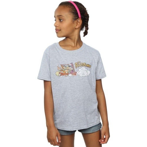 Abbigliamento Bambina T-shirts a maniche lunghe The Flintstones Family Car Distressed Grigio