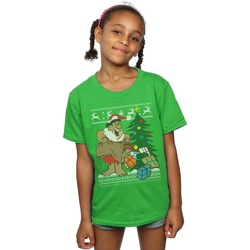 Abbigliamento Bambina T-shirts a maniche lunghe The Flintstones Christmas Fair Isle Verde